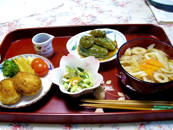 体にやさしい、うどん定食